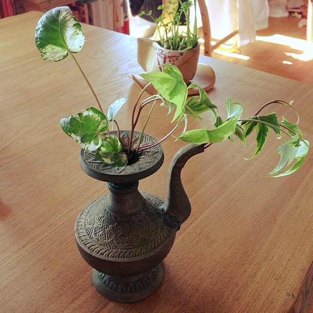 maimaiさんの実例写真