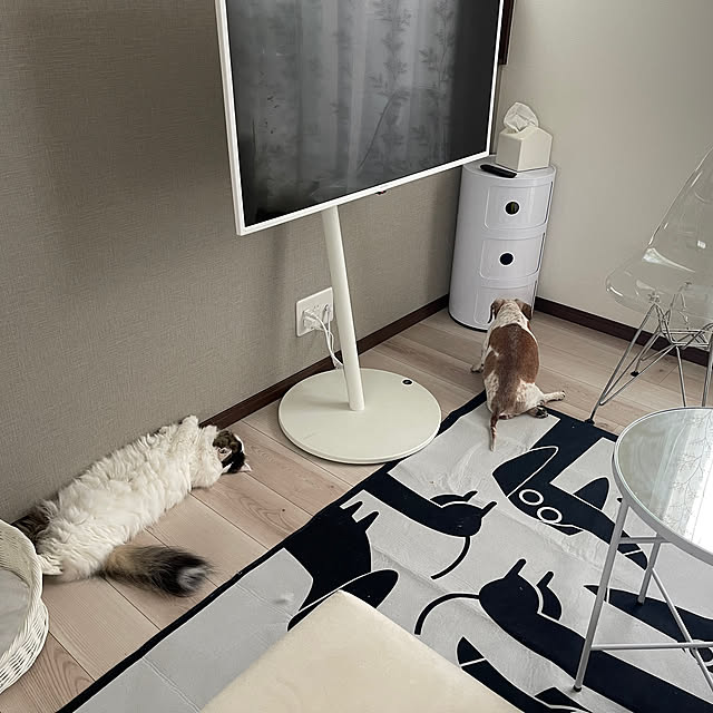 nyannyanさんの実例写真