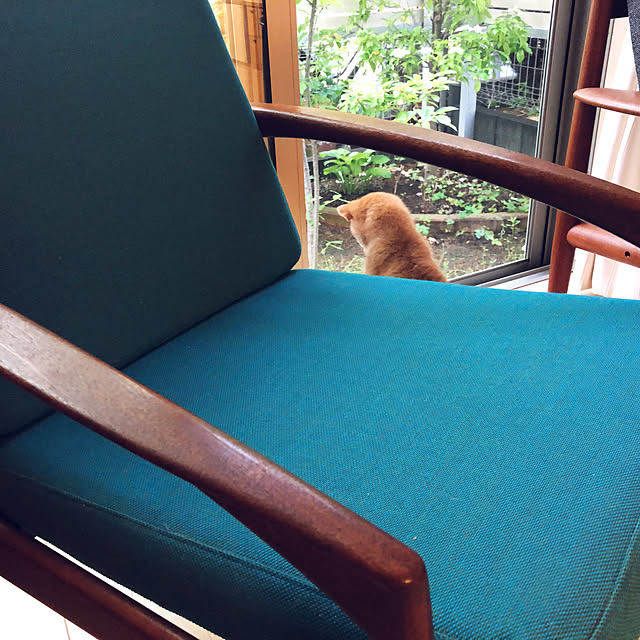 kutsusukiさんの実例写真
