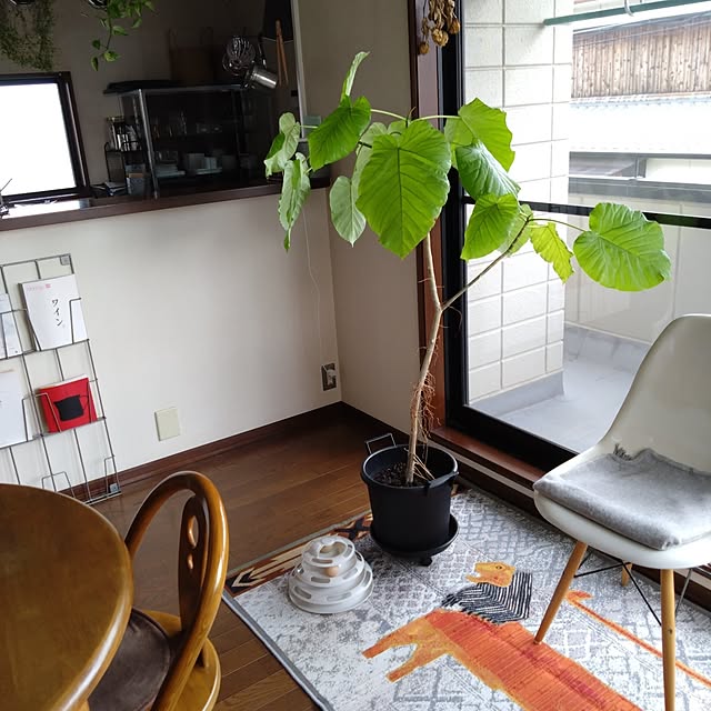 Kさんの部屋