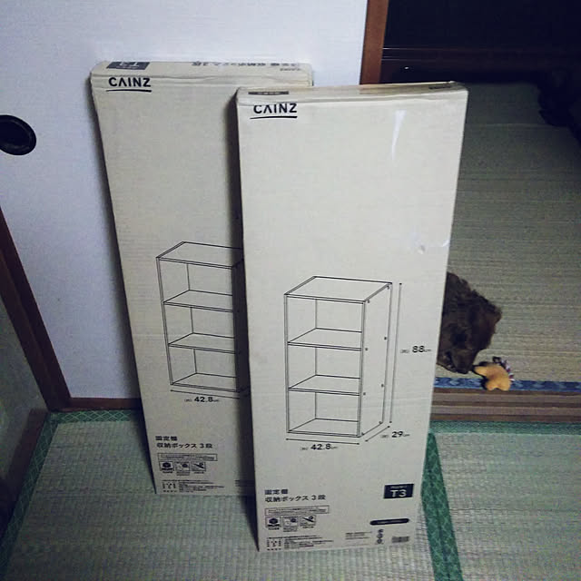 satoさんの実例写真