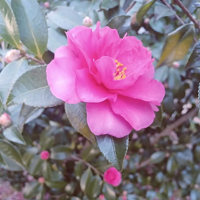 hiro.904さんの部屋