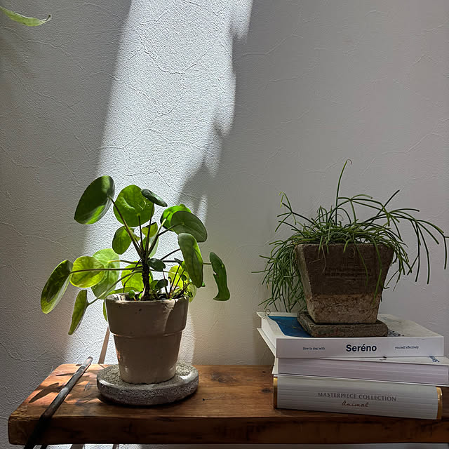 timtamさんの部屋