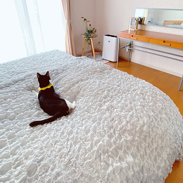 moolさんの部屋