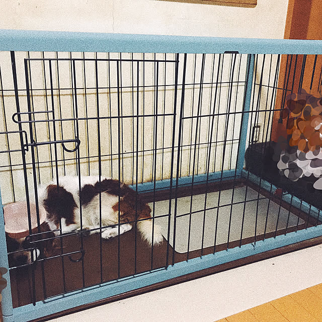 oyaSumiさんの実例写真