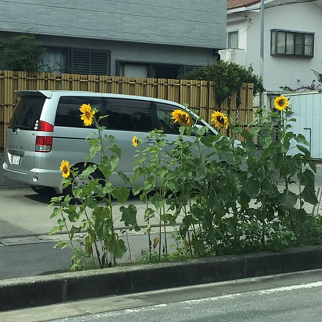 micchiさんの実例写真