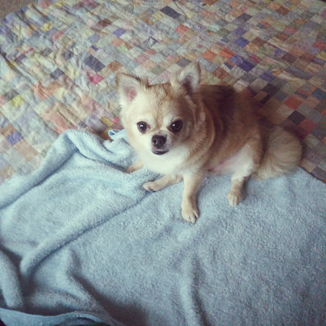 kiraさんの実例写真