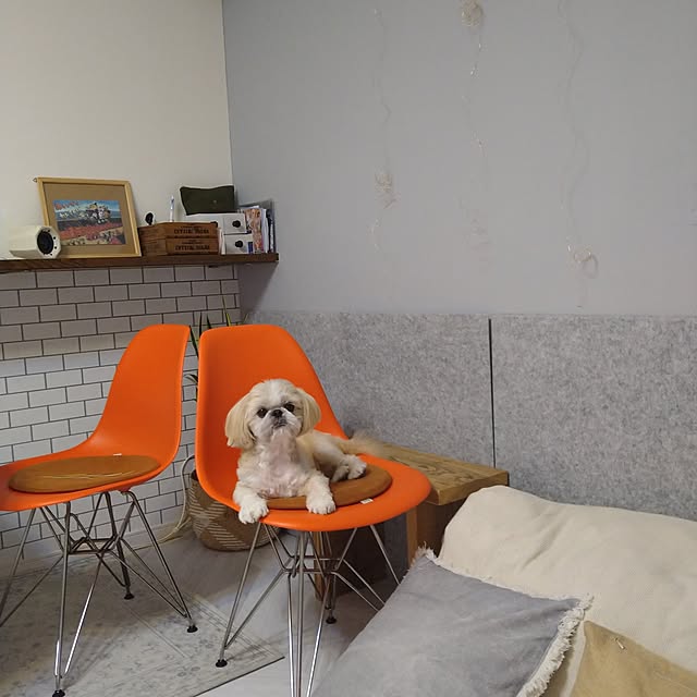 yukagomaさんの実例写真