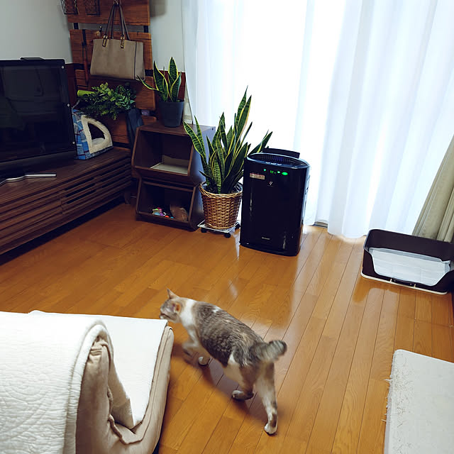 nachiさんの実例写真