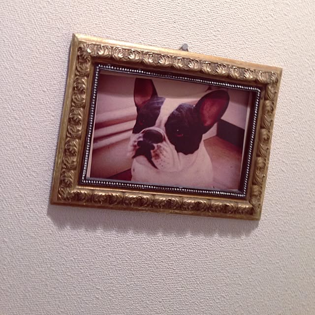Kokoさんの実例写真