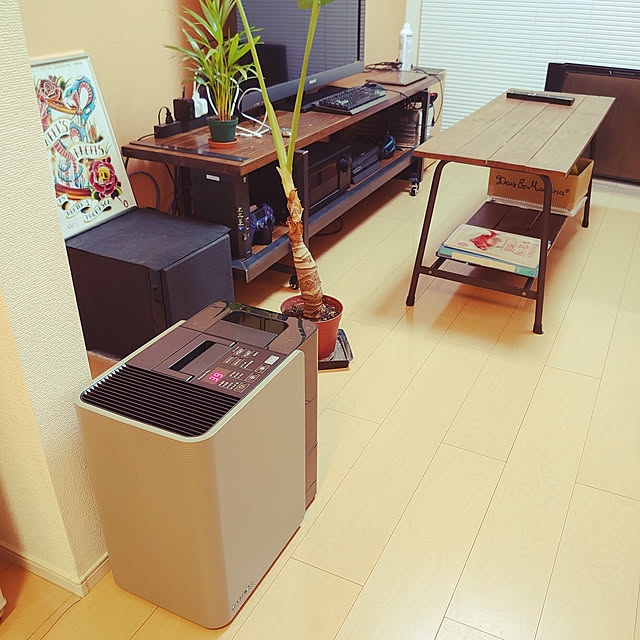 kappaさんの実例写真