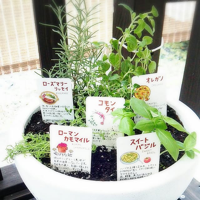 cocolorさんの実例写真