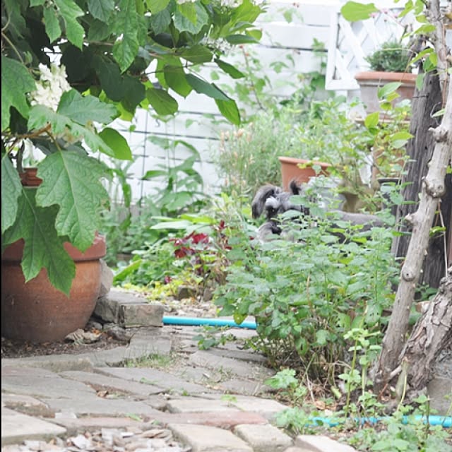 satobonmamaさんの実例写真