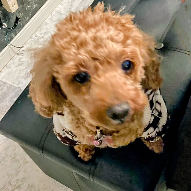 MOMOMAMAさんの部屋