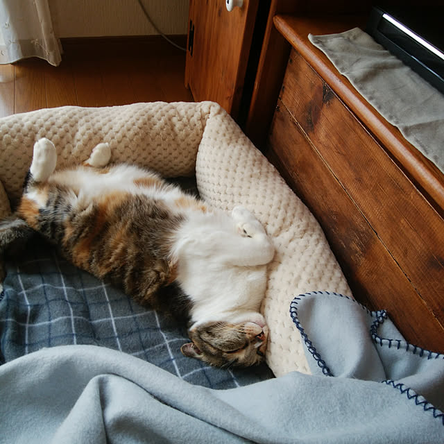 tomo1220さんの実例写真