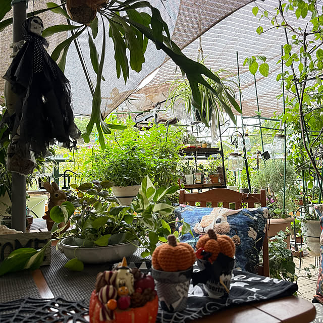 Aqettyさんの部屋