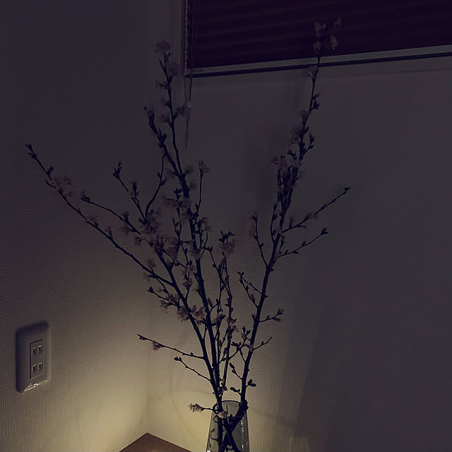 mariさんの実例写真