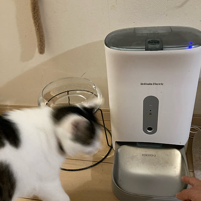 Gomaさんの実例写真