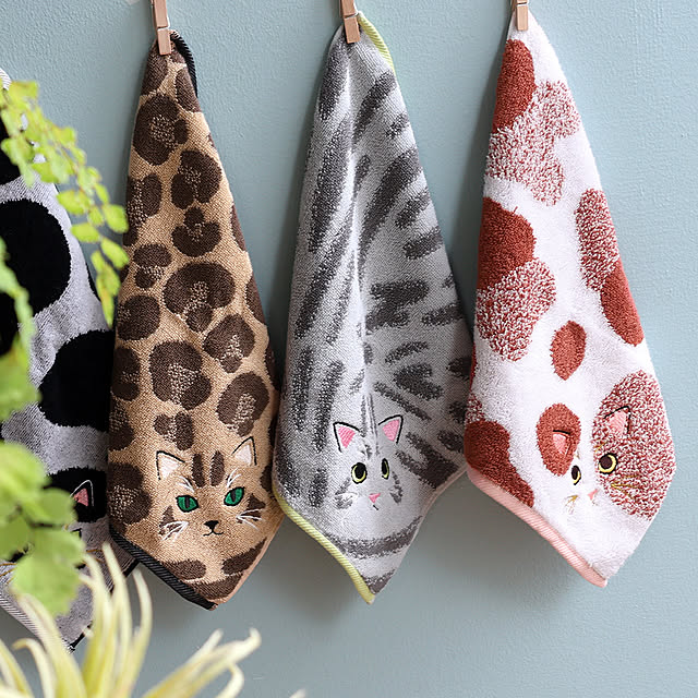 hiorietowelさんの部屋