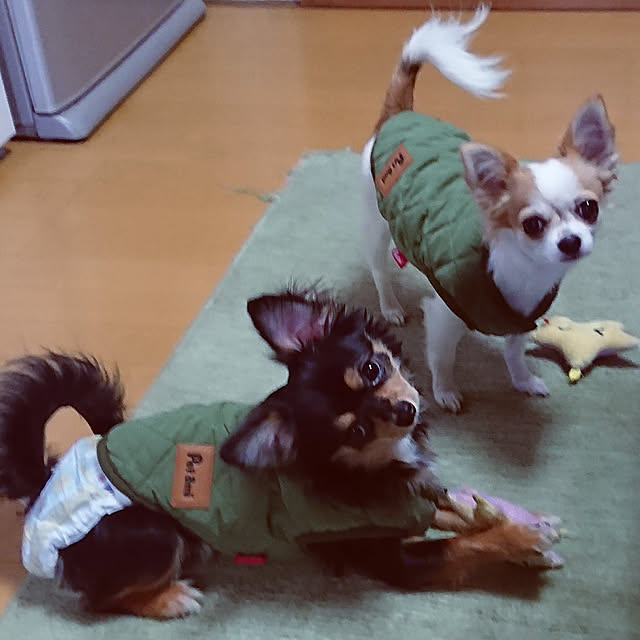 hiro-yさんの実例写真