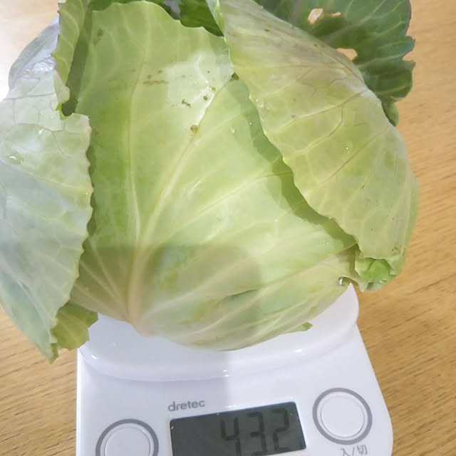 eriponさんの実例写真