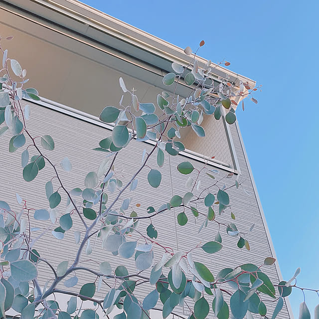 akiko-ovさんの実例写真