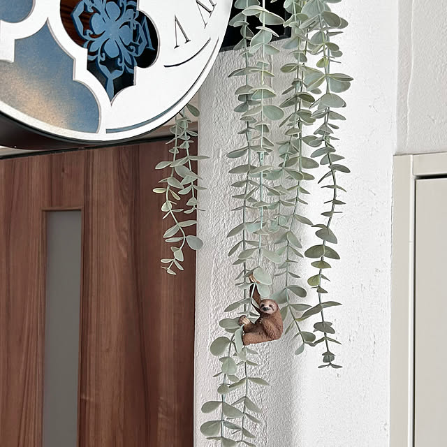 adamoさんの部屋