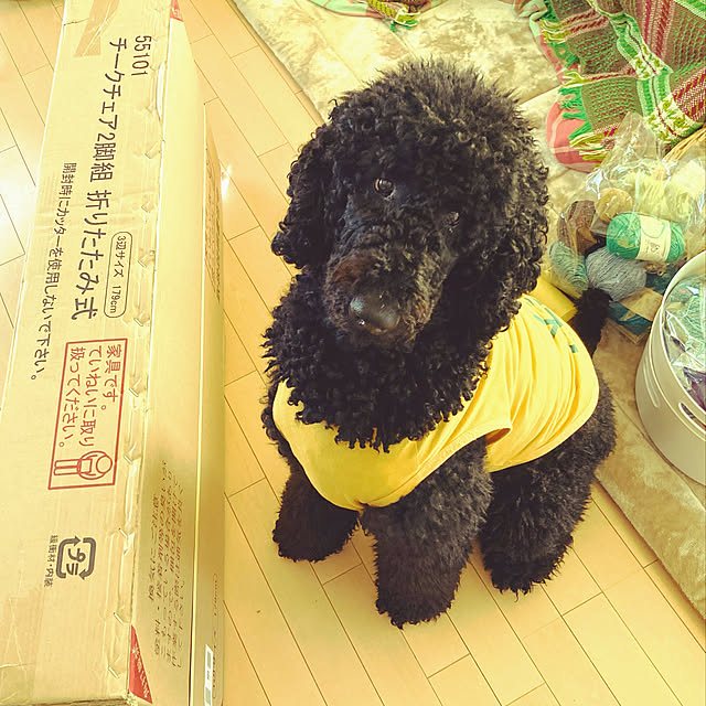 merryさんの実例写真