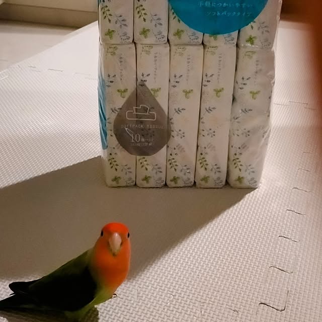 toratanさんの実例写真