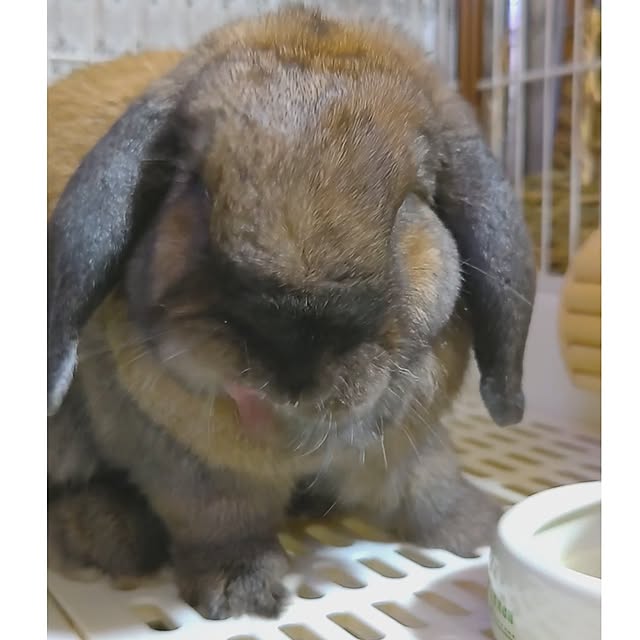 mariaさんの部屋