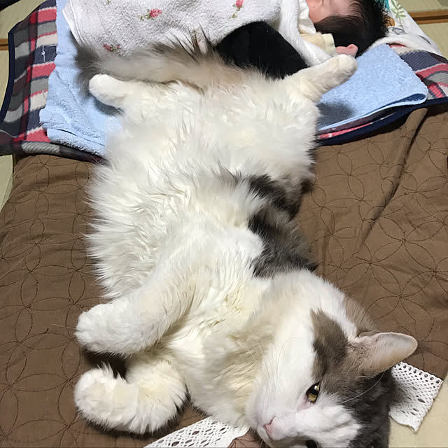 masakoさんの実例写真