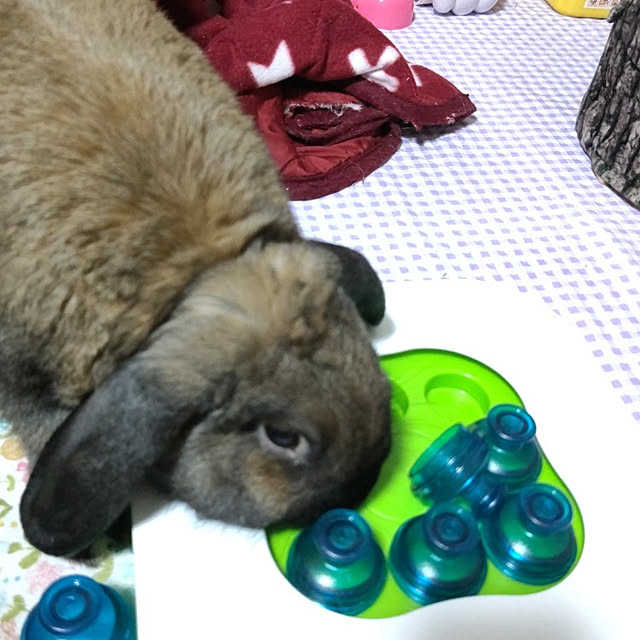 mariaさんの実例写真