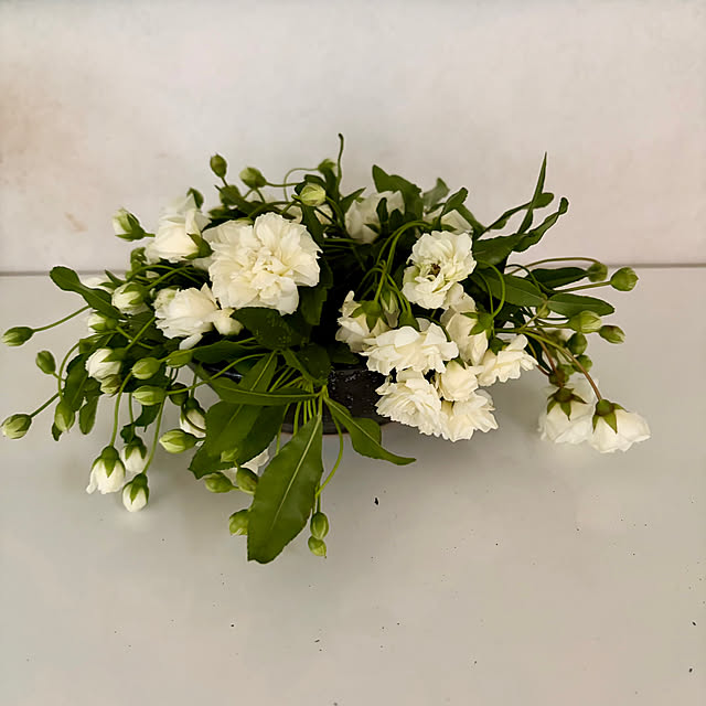 chaimomさんの部屋