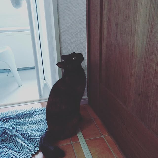 mamekoさんの実例写真