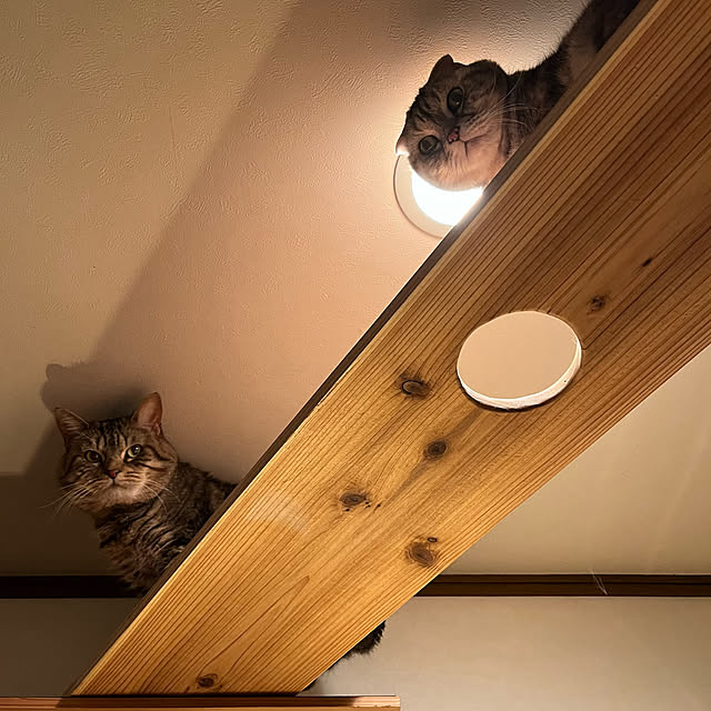kuuさんの部屋