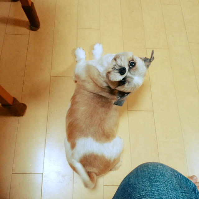 akipopoさんの実例写真