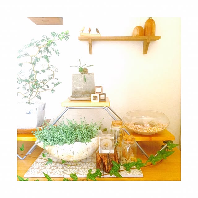 manatomoさんの実例写真