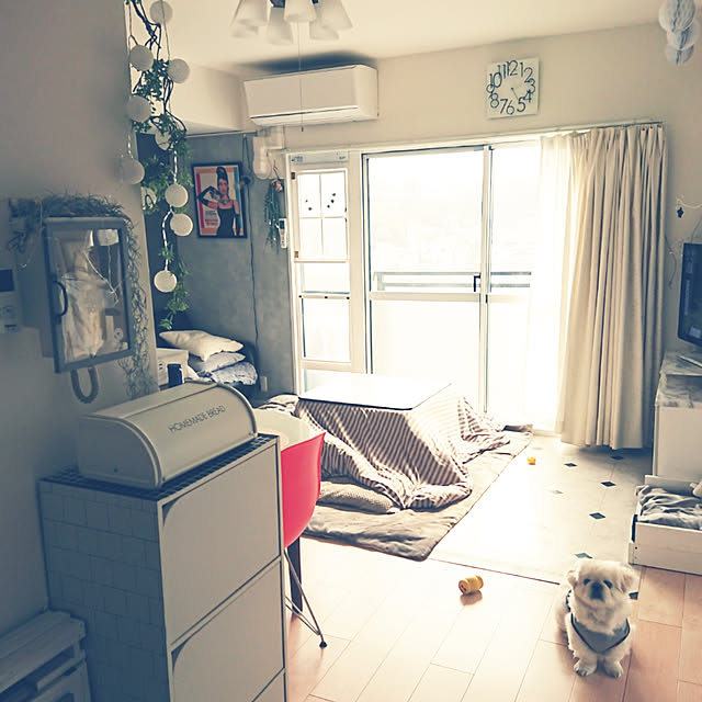 yukagomaさんの実例写真