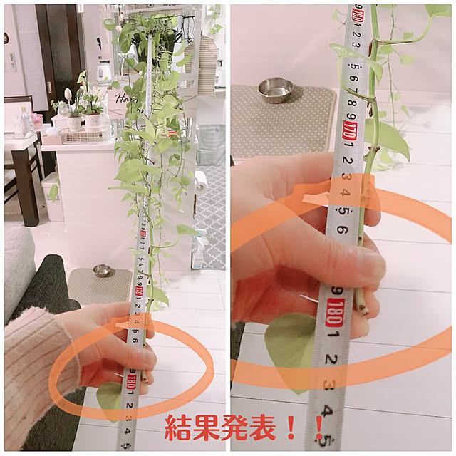 hiroさんの実例写真