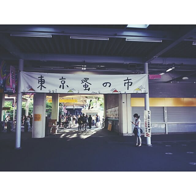 実例写真