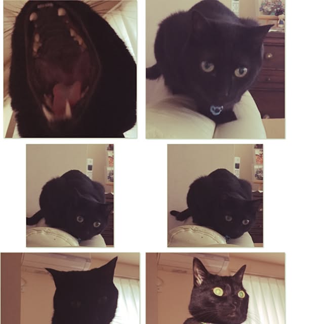 mi_koさんの実例写真