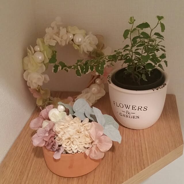 Mayumiさんの実例写真