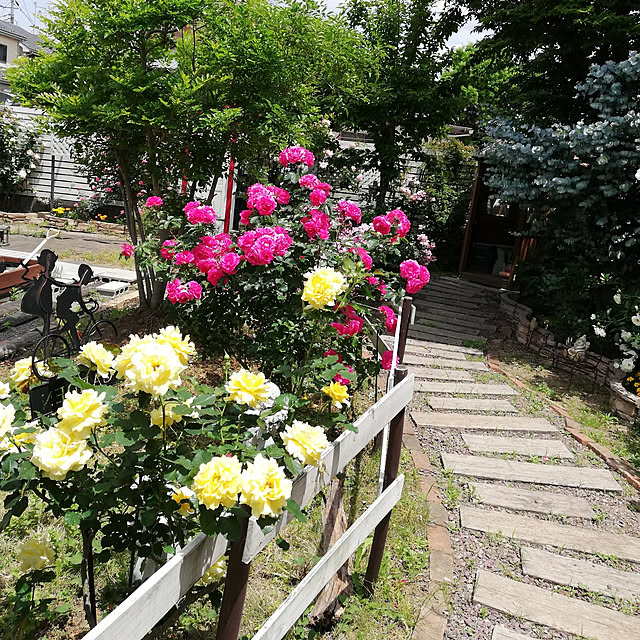 実例写真