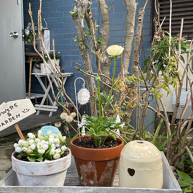 hanaさんの実例写真