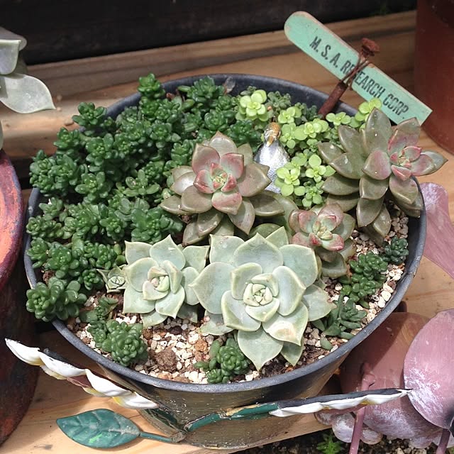khsr86さんの実例写真
