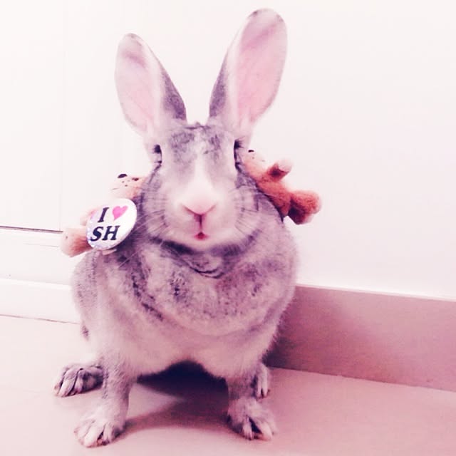 MARIさんの実例写真