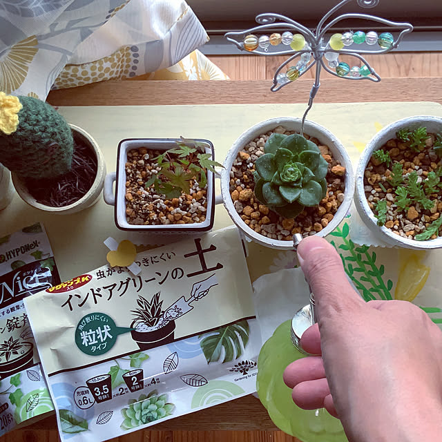 chiiyanさんの実例写真