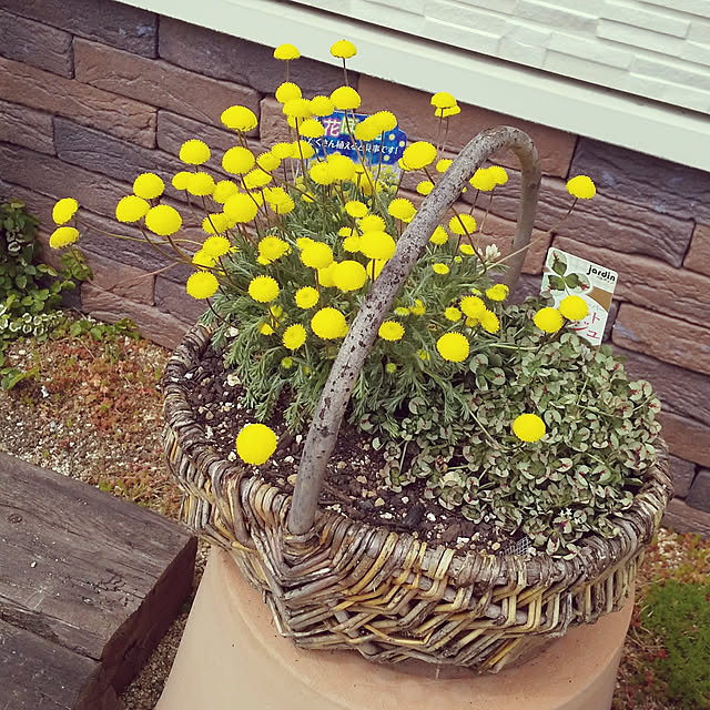 H+M+S...HappyLife...さんの実例写真