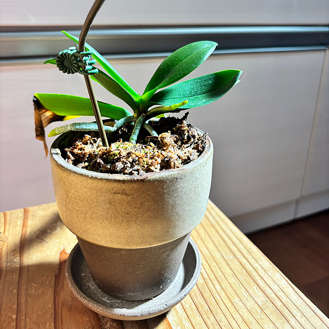 nachiさんの部屋