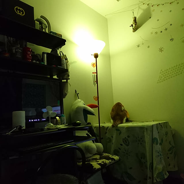 porinさんの実例写真